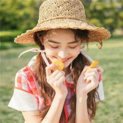 汉末群雄破解版下载